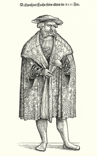 莱昂哈特-富克斯博士，德国医生、植物学家和图宾根大学的教授（雕刻）。 作者 德国学校