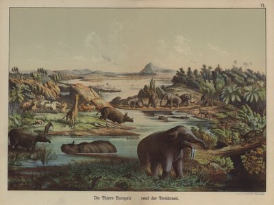 European animals of the Tertiary Period (colour litho) 作者 德国学校