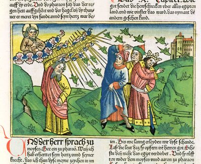 出埃及记10：1-20埃及七灾：蝗虫的瘟疫，来自纽伦堡圣经（Biblia Sacra Germanaica）（彩色木刻） 作者 德国学校
