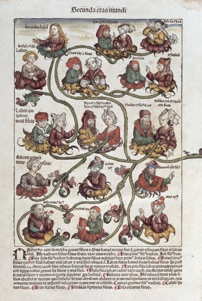 拉班的谱系树，来自Hartmann Schedel的“Liber Chronicarum”（1440-1514）1493（彩色木刻） 作者 德国学校
