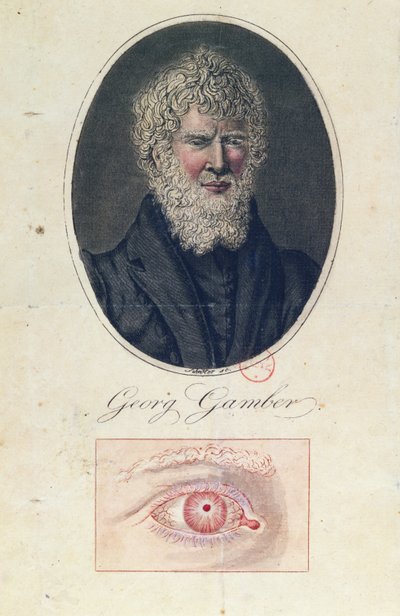 Georg Gamber，白化病 作者 德国学校