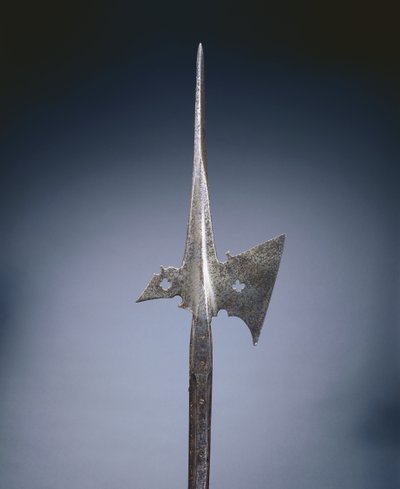 哈伯德（c.1500-25） 作者 德国学校