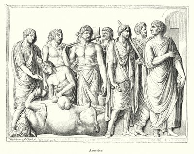 Haruspex, ancient Roman priest who examined the strails of sacrificed animals to predict the future (litho) 作者 德国学校