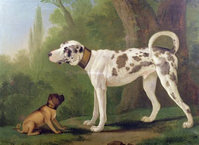 猎犬和小猎犬 作者 德国学校