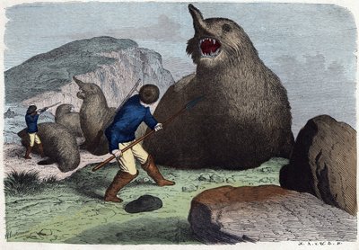 猎人与海象作战。在 "Wenn Jemand eine Reise thut, so kann er was erzahlen"（当有人旅行时，这是他能说出的），德国故事，作者Franz Wiedemann 作者 德国学校