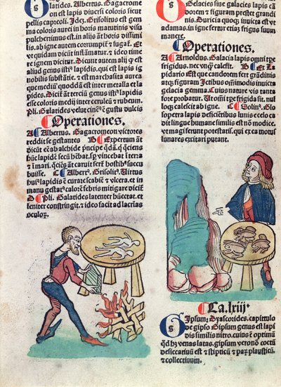 来自Hortus Sanitatis的插图页面，1491（彩色木刻） 作者 德国学校