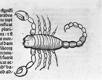 Le Scorpio - 在天使 Magnisconnectionibue 多年的革命及其完美的论文中。 奥格斯堡，艾哈德·拉多尔特 作者 德国学校