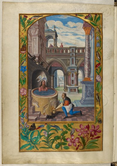 哈雷 3469 号女士，f.21v 在庭院中沐浴的男人，第七个寓言，选自萨洛蒙-特里斯莫辛的《太阳的辉煌》。 作者 德国学校