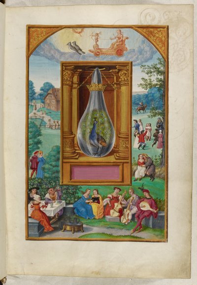 哈雷 3469 号女士，f.28 《孔雀尾巴》，第四论，选自萨洛蒙-特里斯莫辛的《太阳的辉煌》。 作者 德国学校