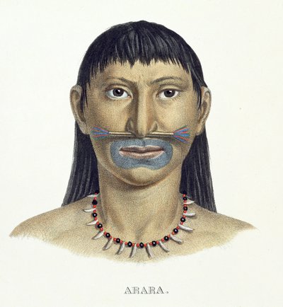 Arara部落的土着男子与蓝色的脸油漆，来自巴西之旅的地图集由Johann Baptist von Spix（1781-1826）和Karl Friedrich Philipp Martius（1794-1868）出版，第1835-50页（颜色） 作者 德国学校