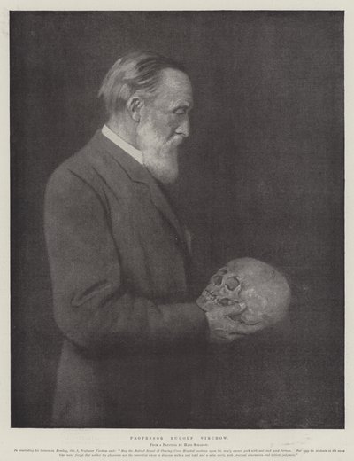 Rudolf Virchow 教授（石版画） 作者 德国学校