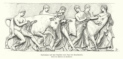 Panathenaia 古希腊游行中的祭祀动物（雕刻） 作者 德国学校