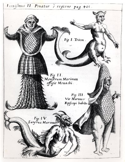 海怪，来自Physica Curiosa的插图，来自Gaspar Schott SJ（1608-66），出版了维尔茨堡1662 作者 德国学校