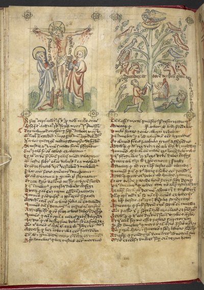 Sloane 361，f.26v 尼布甲尼撒在梦中看到一棵树；耶稣受难，选自 "Speculum Humanae Salvation"（牛皮纸上的墨水和色彩） 作者 德国学校