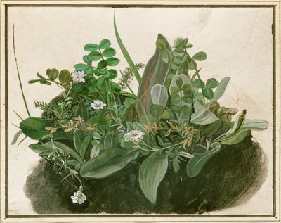 小块草皮（羊皮纸上的水彩、蛋彩和毛笔，裱在纸板上） 作者 德国学校