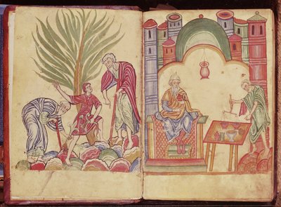 来自Apuleius Dioscorides的药剂师的艺术 作者 德国学校