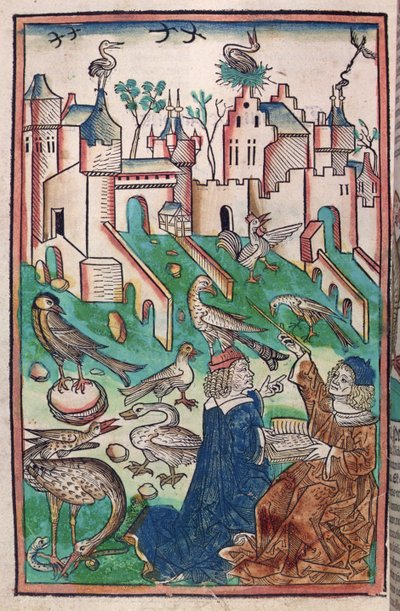 空气中的鸟类和生物，来自《健康园》的插图，1491年（彩色木刻）。 作者 德国学校