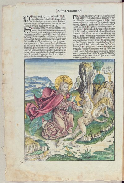 夏娃的诞生，来自Hartmann Schedel的“Liber Chronicarum”（1440-1514）1493（彩色木刻） 作者 德国学校