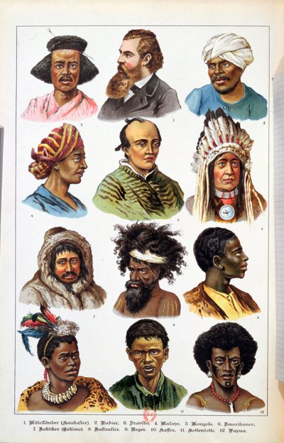 不同的人类种族，来自动物王国的自然历史，由Gotthelf Heinrich von Schubert（1780-1860），1861年（彩色雕刻） 作者 德国学校