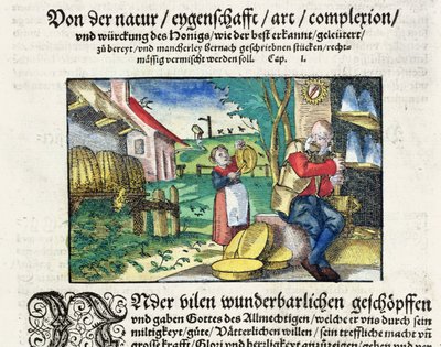 医学中蜂蜜的治疗和治疗用途，1573年斯特拉斯堡出版的德国药物论文插图（彩色木刻） 作者 德国学校