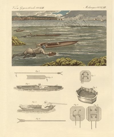 在英格兰海岸捕猎水鸟（彩色版画） 作者 德国学校