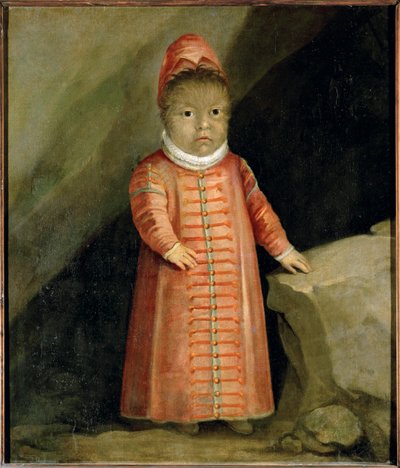 佩特鲁斯-贡萨尔维斯的儿子于 1596 年接受了考试...... 作者 德国学校