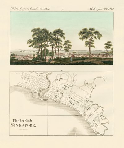 View and map of the East Indian establishment Singapore (coloured engraving) 作者 德国学校
