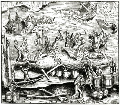 鲸鱼捕捞，在明斯特宇宙世界的木刻后，于1552年出版 作者 德国学校