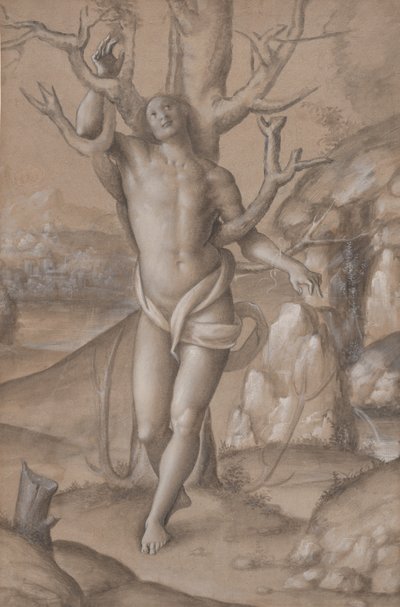 圣塞巴斯蒂安，约1524年。 作者 Gerolamo Giovenone