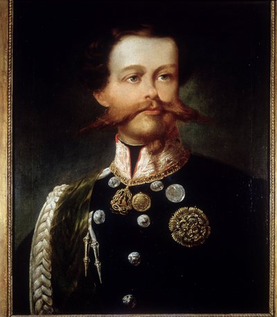 维克多·伊曼纽尔二世 (Victor-Emmanuel) (Vittorio Emanuele) (1820 - 1878) 的肖像，由杰罗拉莫 (Girolamo) Induno 创作。 复兴运动博物馆。 米兰。 作者 Gerolamo Induno