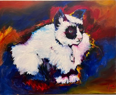 蹦极猫 作者 