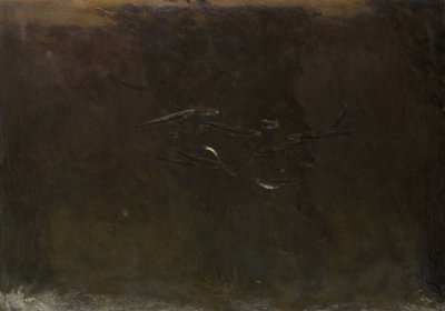 水族馆里的鱼 作者 格里特·威廉·戴塞尔霍夫