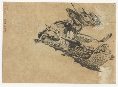 鬣蜥头 作者 格里特·威廉·戴塞尔霍夫