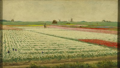 郁金香花田 作者 格里特·威廉·戴塞尔霍夫