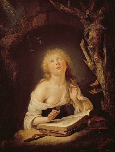圣母（橡木面板上的油） 作者 Gerrit Dou