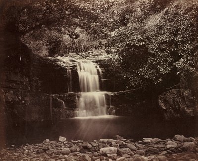尼斯河谷，1854年。 作者 格丁 G. B
