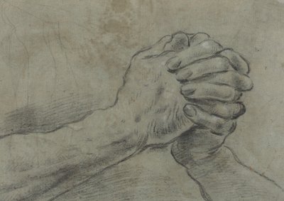 紧握的双手[背面] 作者 贾科莫·卡维多内