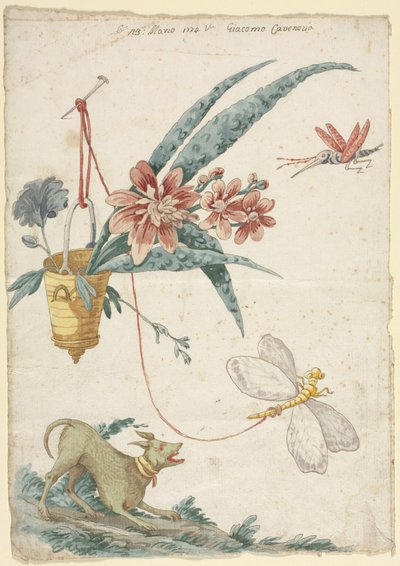 有狗和昆虫的花卉设计 作者 贾科莫·卡文尼西亚（Giacomo Cavenezia）