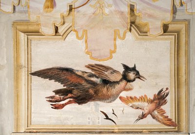 一对异国情调的鸟，来自森林的中国房间，1757年 作者 乔瓦尼·多梅尼科·蒂埃波罗