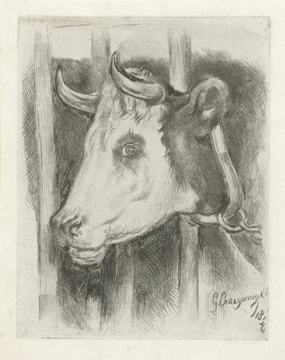 牛头 作者 Gijsbertus Craeyvanger
