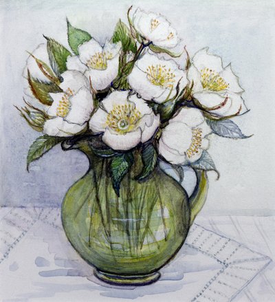 圣诞玫瑰，1984 作者 吉莲·劳森（Gillian Lawson）