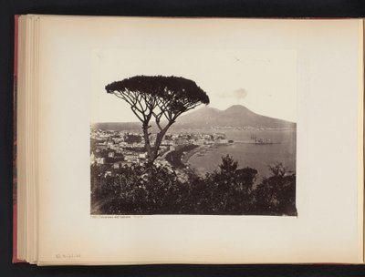 意大利那不勒斯全景，前景为一棵松树
那不勒斯沃梅罗全景（标题见实物） 作者 Giorgio Sommer