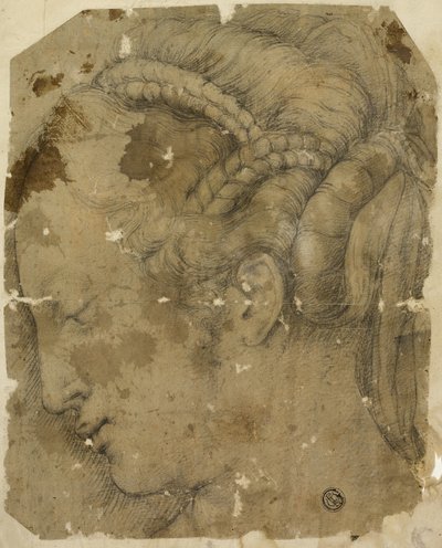 侧面左侧的女性头像 作者 乔治·瓦萨里（Giorgio Vasari）