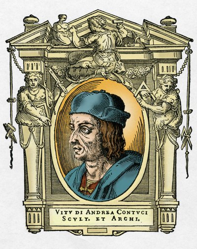 雅克波-桑索维诺的画像 作者 乔治·瓦萨里（Giorgio Vasari）