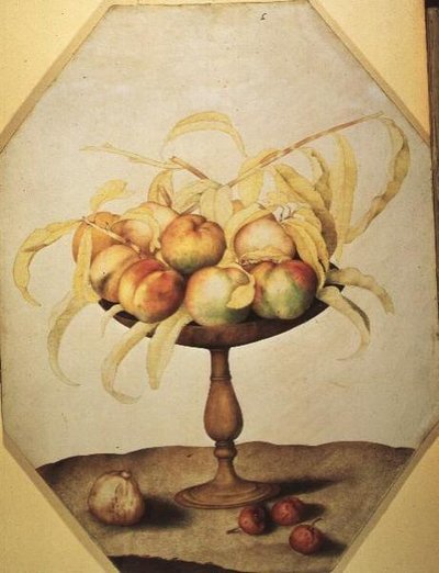 桃子碗（牛皮纸上的钢笔画） 作者 乔万娜·加佐尼（Giovanna Garzoni）