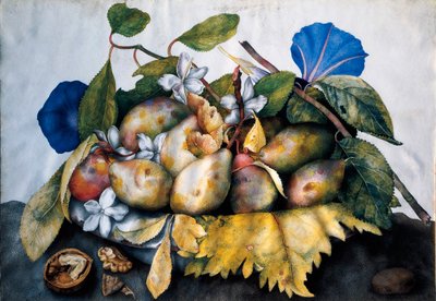 一盘李子、茉莉和坚果 羊皮纸上的绘画 Giovanna Garzoni (1600-1670) 作者 乔万娜·加佐尼（Giovanna Garzoni）