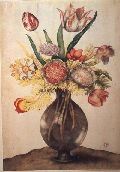 花瓶（牛皮纸上的钢笔画） 作者 乔万娜·加佐尼（Giovanna Garzoni）