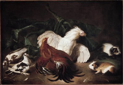 静物与动物母鸡和仓鼠（布面油画 作者 Giovanni Agostino Cassana