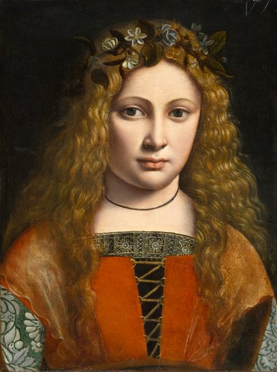 一个女孩的画象加冠与花，c.1490 作者 Giovanni Antonio Boltraffio