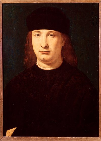 意大利诗人吉罗拉莫-卡西奥的肖像（木板油画，约1500-1520）。 作者 乔瓦尼·安东尼奥·博尔特拉菲奥